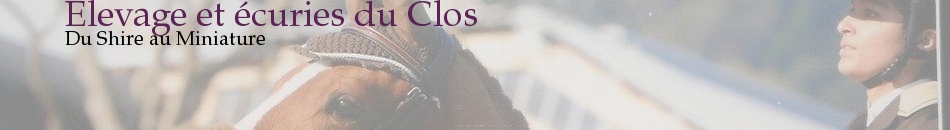 Elevage et écuries du Clos